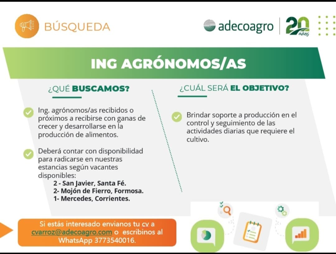 Imagen de la publicación