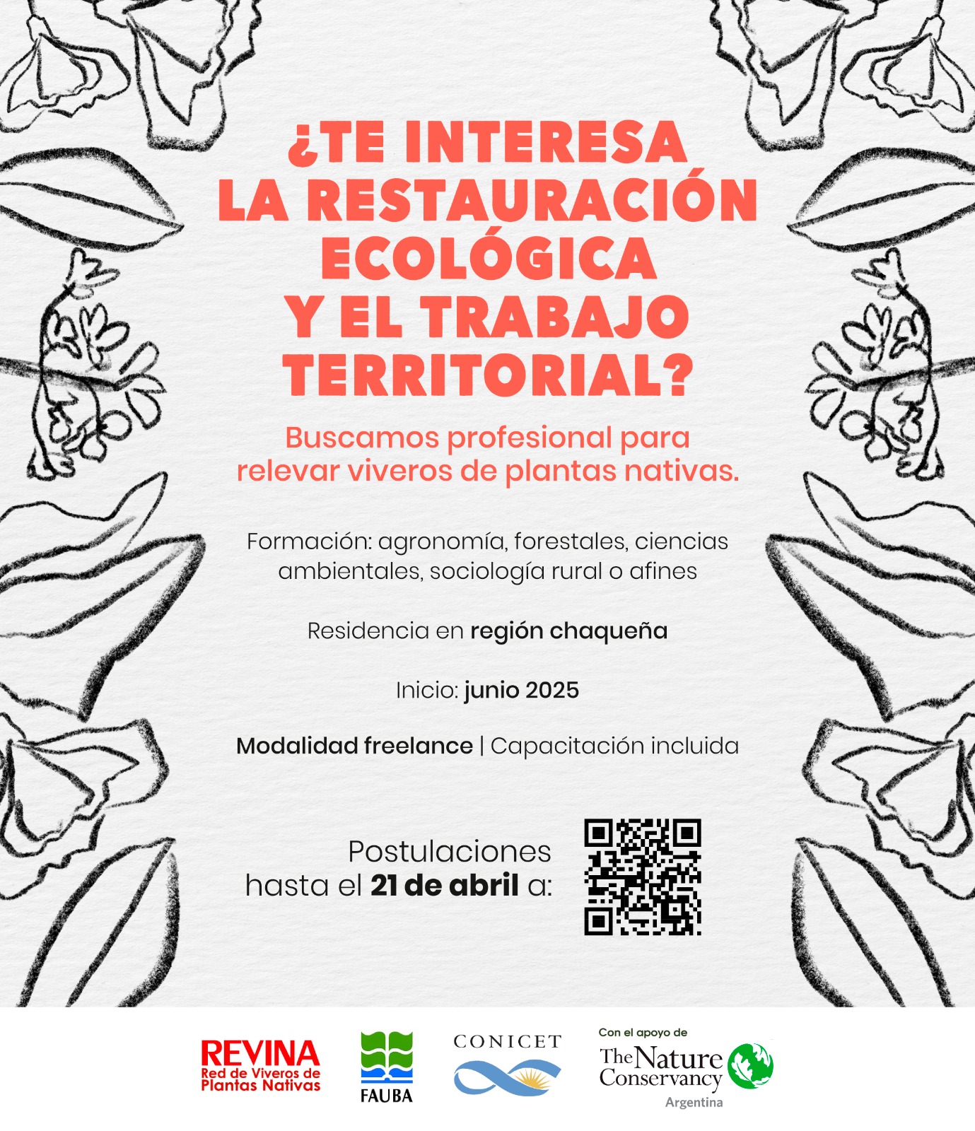 Imagen de la publicación