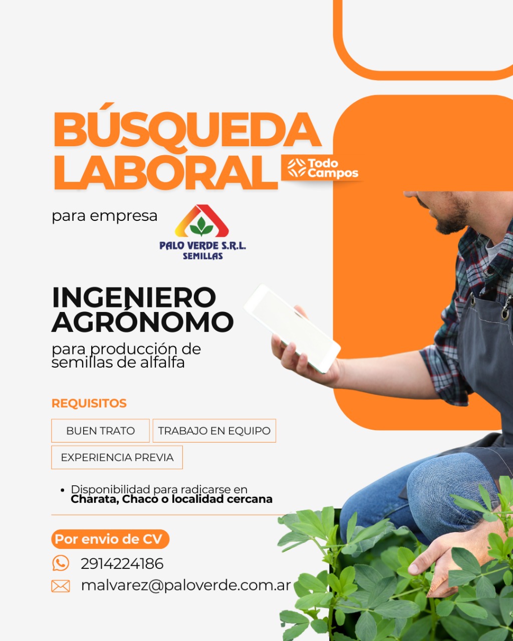 Imagen de la publicación