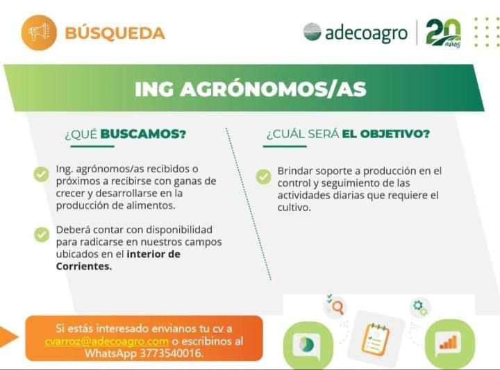 Imagen de la publicación